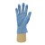 Shield2 GD13 Blue Powder-Free Vinyl Disposable Gloves (Pack of 100)