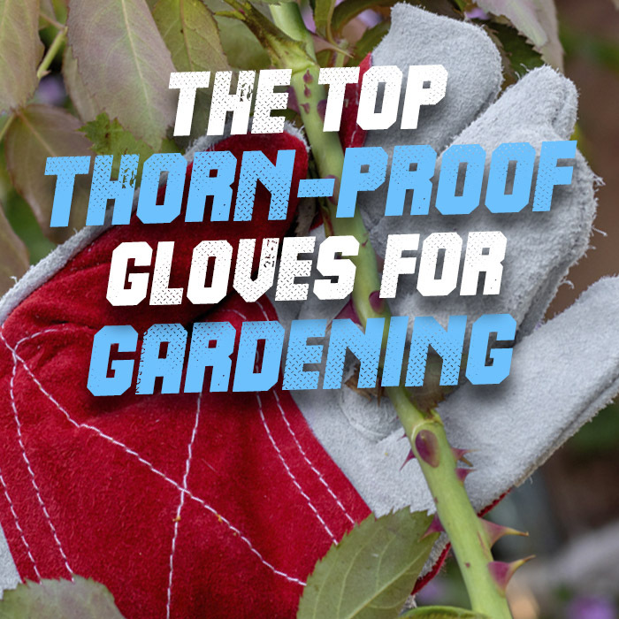 Find Your Best Thorn Proof Gardening Gloves