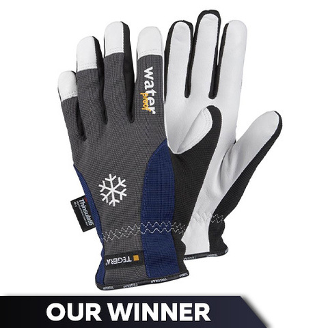 https://www.workgloves.co.uk/user/ejendals-tegera-295-insulated-all-round-work-gloves-our-winner_480.jpg